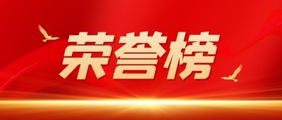 南岸區(qū)人大代表貢獻(xiàn)榜單發(fā)布  集團(tuán)董事、總經(jīng)理黃怡霖上榜